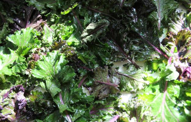 raw kale