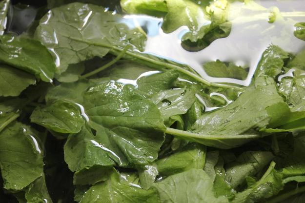 Cleaning radish leaves