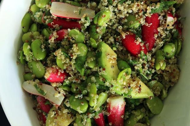 Radish, braod bean, quinoa salad