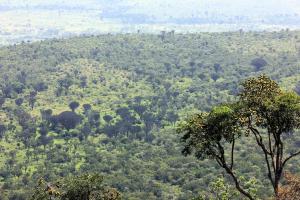Rift Valley in Kenya