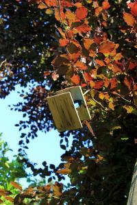 Summary weekend - UK