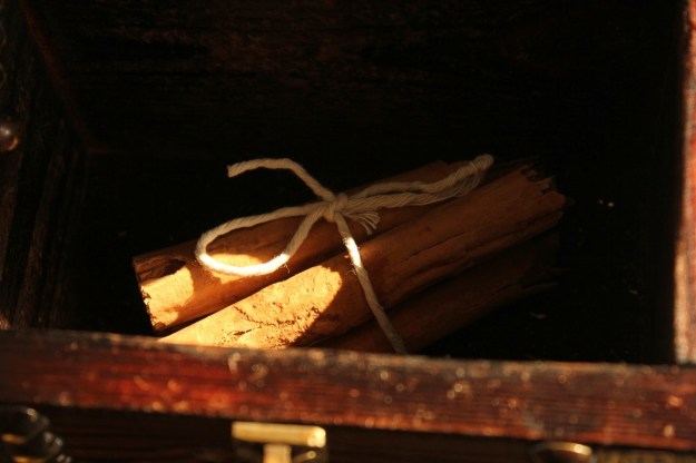 cinnamon sticks
